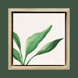 Soft Botanics II